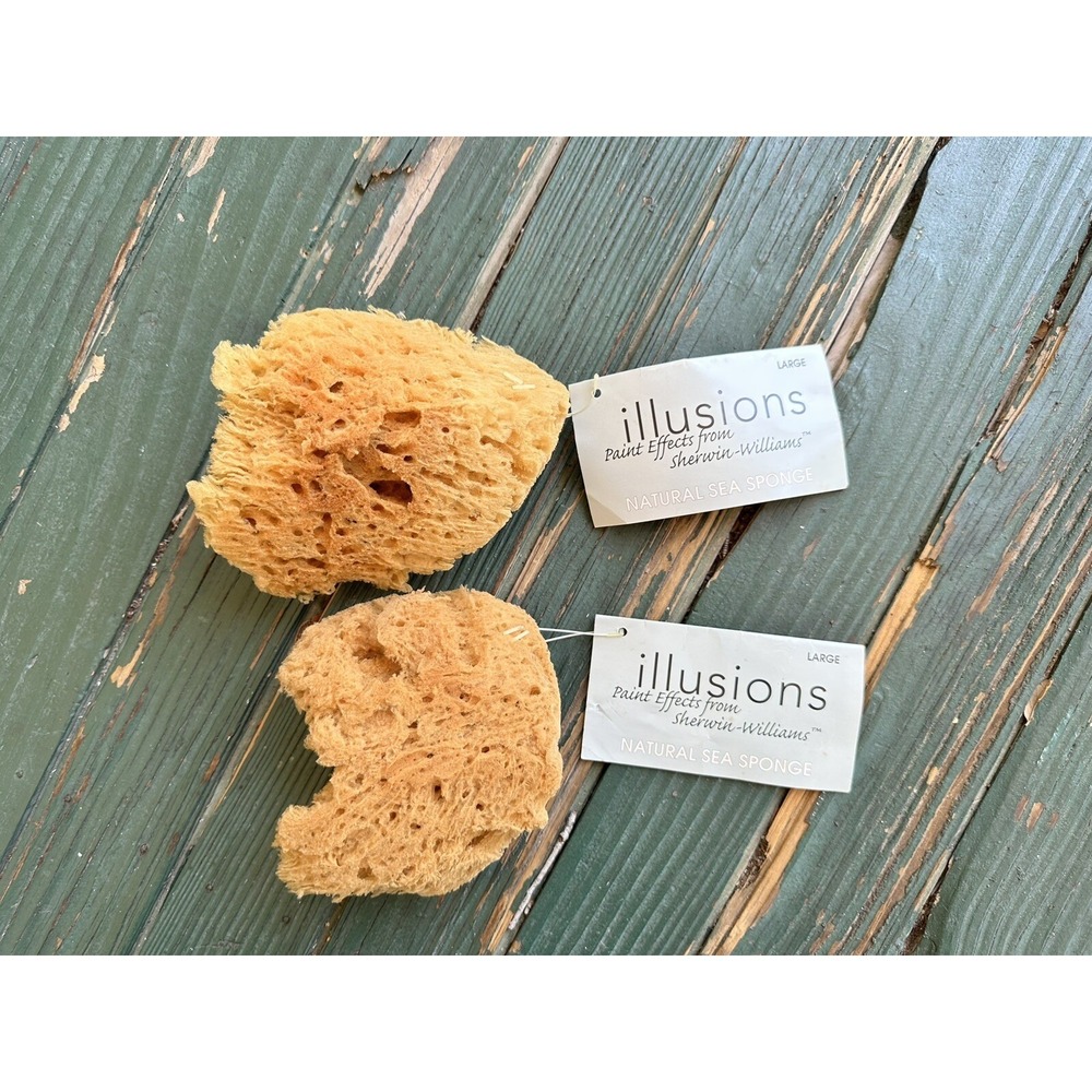 Illusions Sherwin Williams Sea Sponge all natural Paint Sponge Lot Of‎ 2